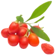 Double Red Rose