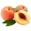 Double Red Rose